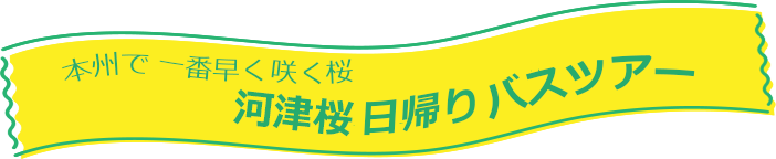 河津桜バスツアー
