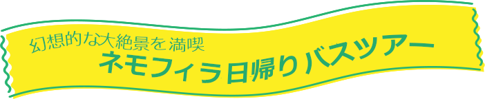 ネモフィラバスツアー