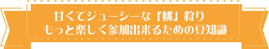 桃狩りツアー特集