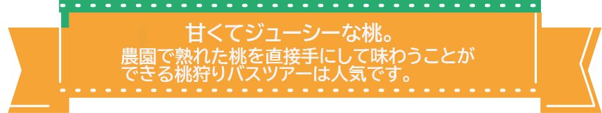 桃狩り日帰りツアー特集