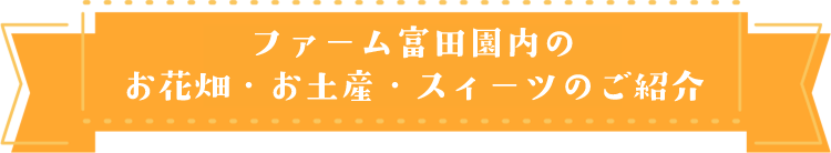 ファーム冨田園内ご紹介