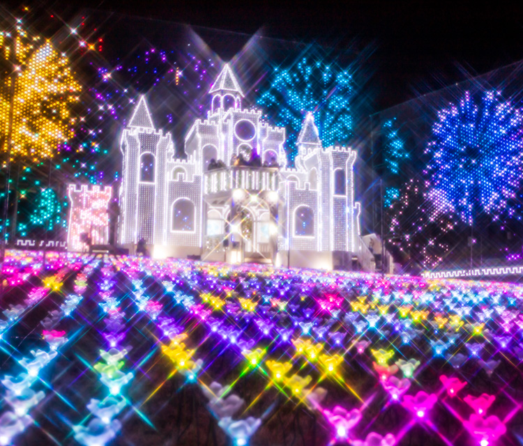 日帰りバスで行くイルミネーションバスツアー