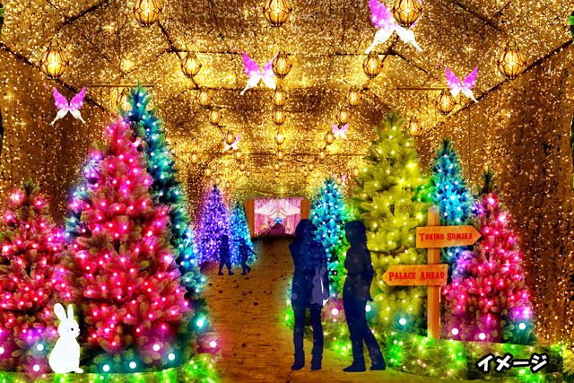 時之栖イルミネーション