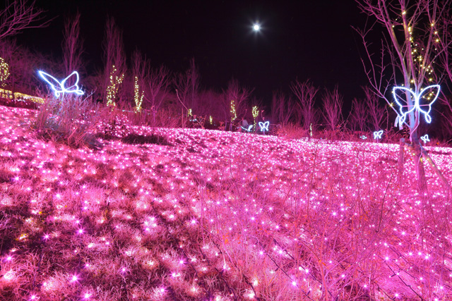さがみ湖イルミリオン