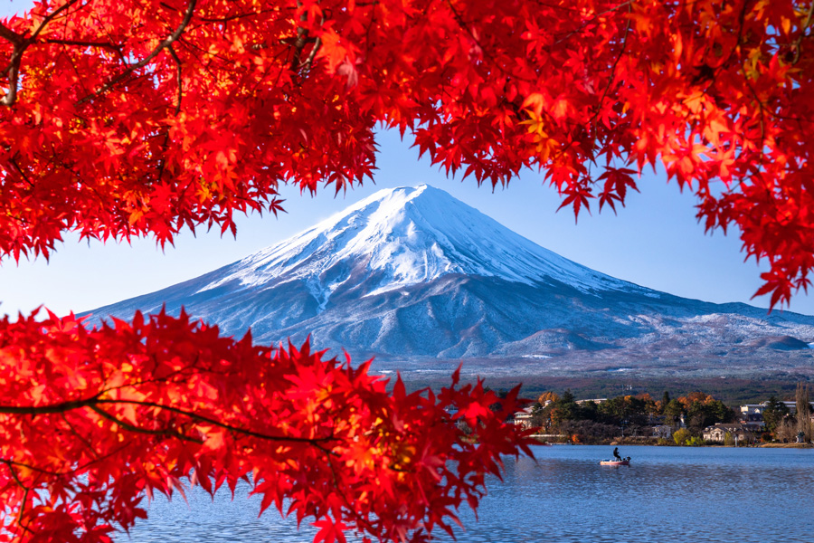 紅葉