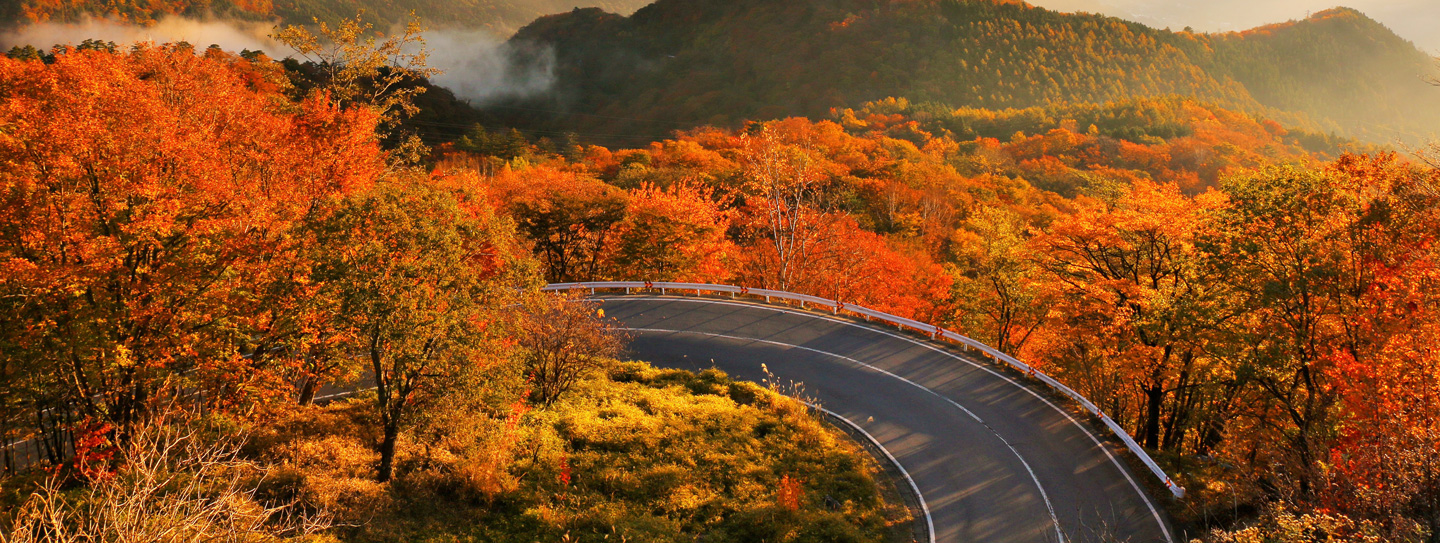 紅葉日帰りバスツアー